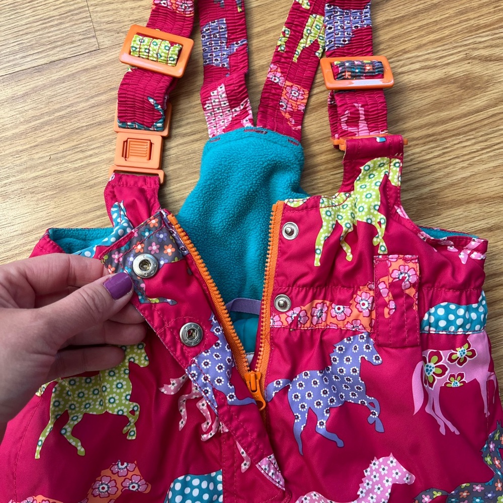 Garnet hill snow pants!